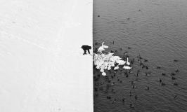 1. Marcin Ryczek A Man Feeding Swans in the Snow